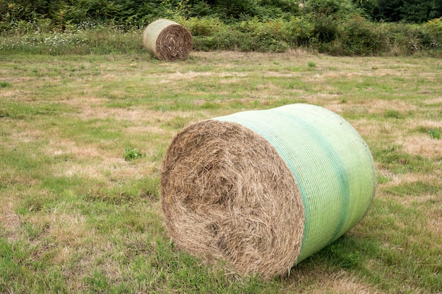 Photo round bale of hay