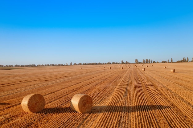 Round bales on the field View from a drone