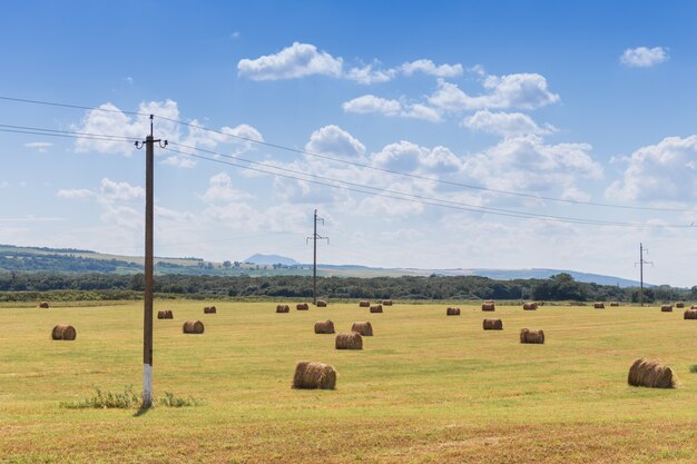 Balle rotonde di paglia nel prato