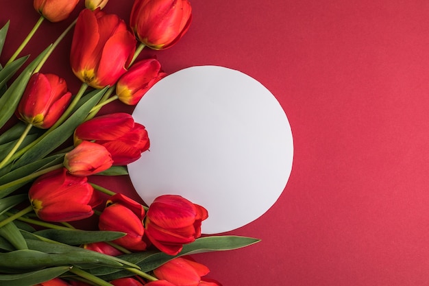 Round blank greeting card mock-up scene and red  tulips on red surface