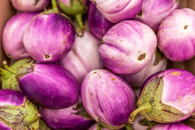 Thai red onion or Shallots. Fresh purple shallots on white background.  Selected focus. Concept of spices in healthy cooking 9629788 Stock Photo at  Vecteezy