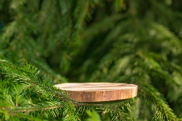 A round carved slab of wood lies on the branches of spruce, pine, a stand for an object,  bokeh