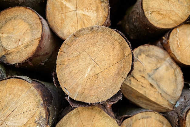 Round cut wooden logs background