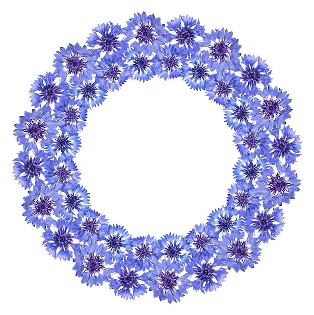 Round frame of cornflowers on a white background