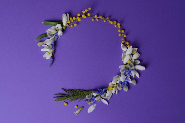 花のラウンドフレームスノードロップミモザと柳の花の組成紫の背景に