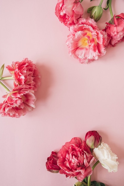 Cornice rotonda fatta di bellissimi fiori di tulipano peonia rosa e bianca sul rosa