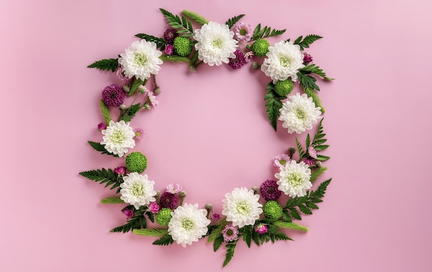 Round frame made of colorful flowers chrysanthemum isolated on pink background. Flowers composition. Summer wreath of chrysanthemum flowers. Flat lay.