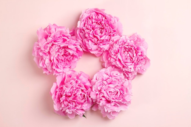 Round frame of pink peonies on a pastel pink background Greeting card mockup