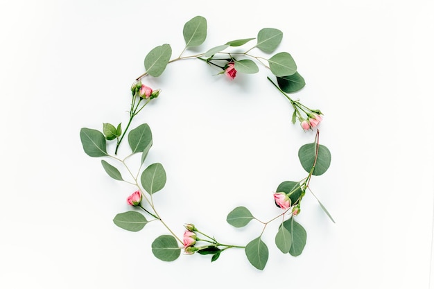 Round frame with branches eucalyptus and leaves isolated on white background lay flat top view