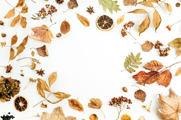 Round frame with empty space of dry fall autumn leaves, petals and oranges on white surface