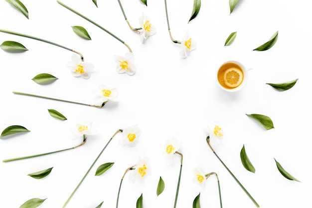 Round frame with white flower narcissus buds branches and leaves isolated on white background lay flat top view