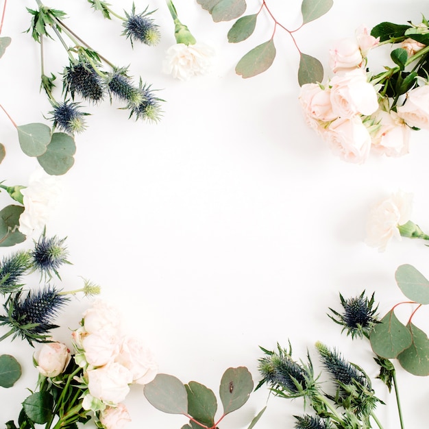 Round frame wreath made of beige rose flowers, eringium flower, eucalyptus branches on white