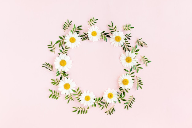 Round frame wreath made of chamomiles petals leaves on beige background Flat lay