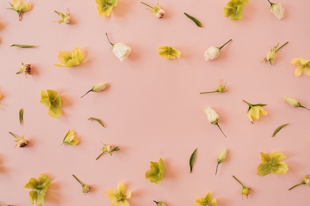 ピンクのバラと黄色のヘレボルスの花で作られたラウンドフレームリース