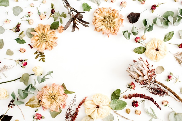 Round frame wreath with dried flowers: beige peony, protea, eucalyptus branches, roses on white background. flat lay, top view. floral background