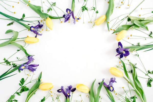 Round frame wreath with yellow tulips, purple iris and chamomile flowers on white background. Flat lay, top view. Floral background