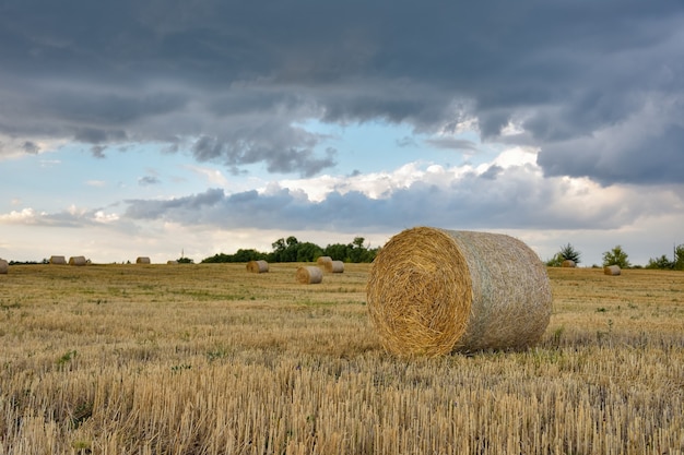 Photo round haystack against the sky, harvesting