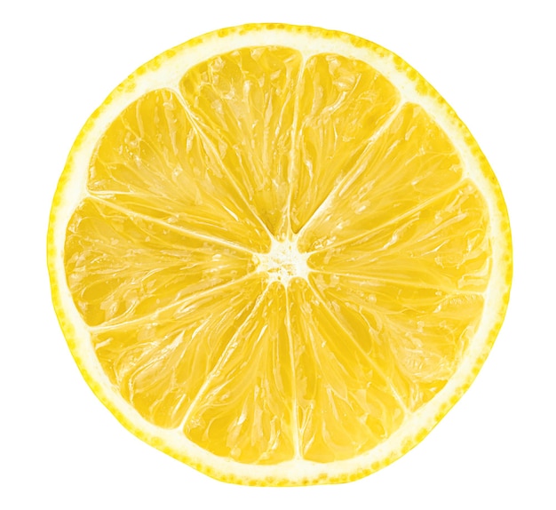 Round lemon slice on white isolated background cross section