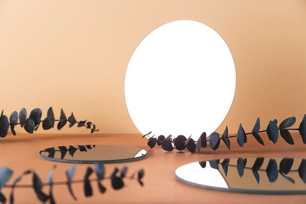 Round mirrors among eucalyptus branches