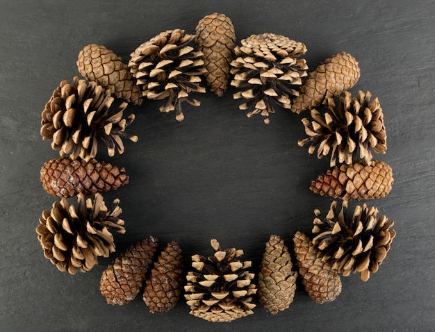 Round pine cones frame