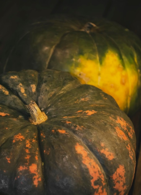 round pumpkins in a dark room are autumn decorations Pumpkins with poor lighting