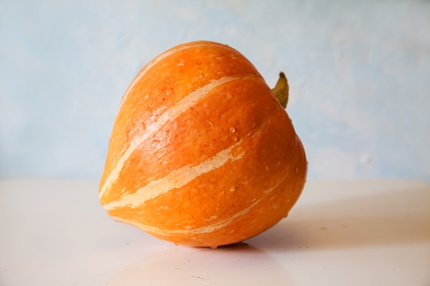 Round raw orange pumpkin