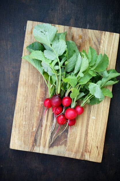 Round red radish on the board