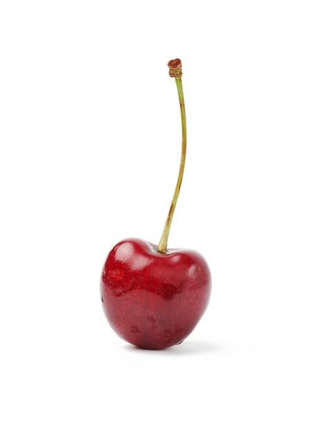 Round red ripe sweet cherry on a stalk