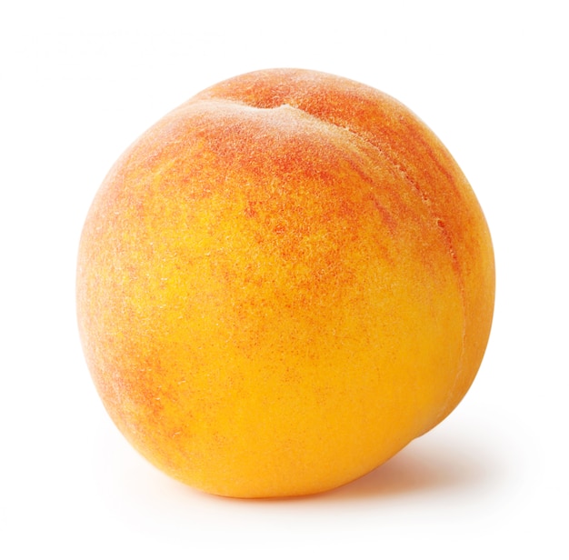 Round ripe apricot