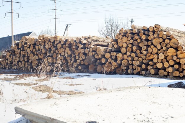 Round sawed logs lie in the grounds of the sawmill.