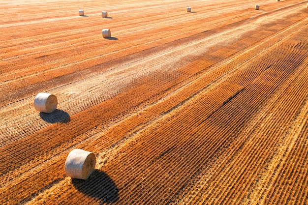 Round straw bales on a wheat field Drone view