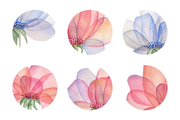 Round watercolor stickers set Elegant watercolor flower on a long stem Pink and blue flower with transparent petals