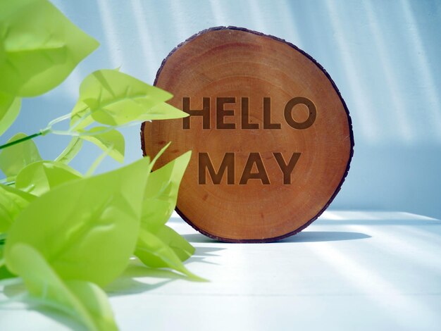 A round wooden log with the word hello may on it