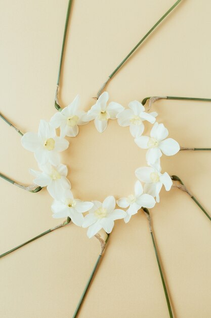 Round wreath frame copy space mock up. Narcissus flowers