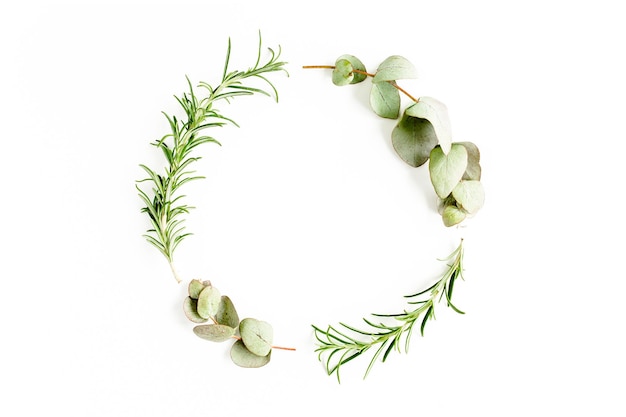 허브 녹색 가지를 혼합하여 만든 둥근 화환 프레임은 흰색 배경에 유칼립투스 로즈마리와 식물 컬렉션을 남깁니다.