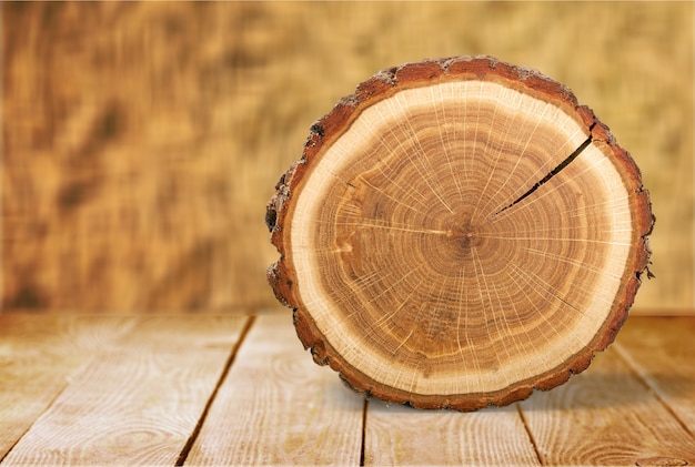 Roung cut of tree on wooden background