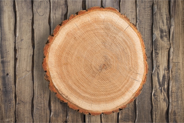 Taglio rotondo dell'albero su fondo di legno