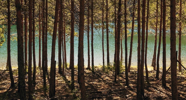 산 꼭대기에 청록색 바다가있는 호수 인 모로스 강 협곡을 통과합니다. Sierra de Guadarrama 국립 공원, El Espinar, Castilla y Leon.