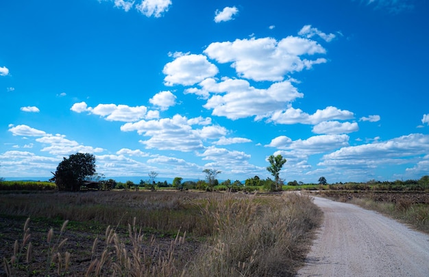 タイの農村地域の道路や土道 農業やガーデニングや農業に行くための道 乾季の畑 明るい青い空と白い雲