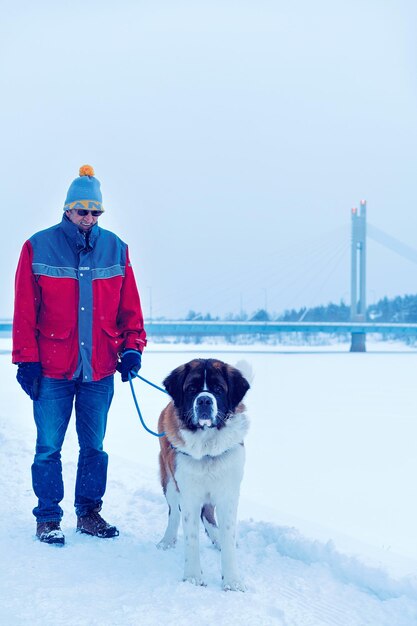 Rovaniemi, Finland - March 2, 2017: Man and Saint Bernard dog at Candle bridge in winter Rovaniemi, Finland.