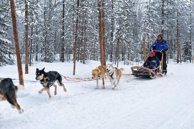 写真 フィンランド、ロヴァニエミ-2017年3月3日：フィンランド、ラップランド、ロヴァニエミでハスキー犬のそりに乗って子供を持つインドの家族