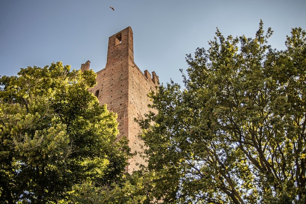 Rovigo toren detail