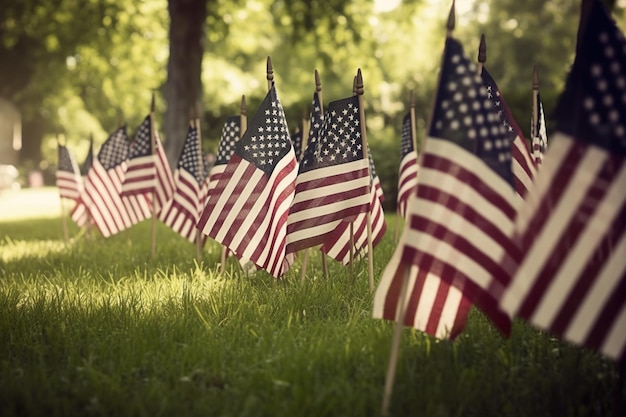 A row of american flags in a grassy field