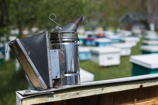 A row of bee hives in a private apiary in the garden. Honey industry.