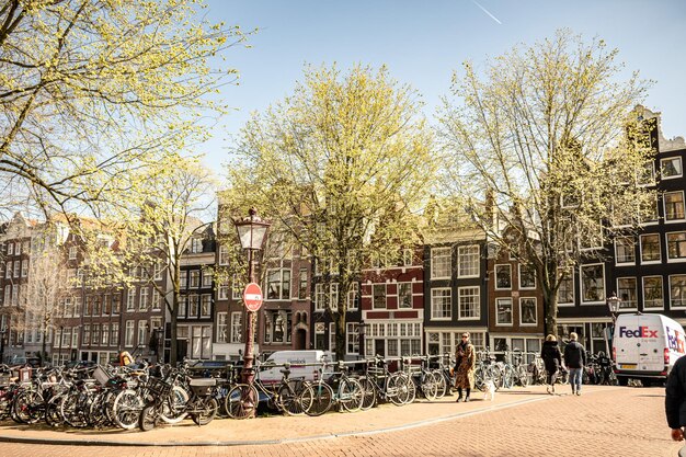 Photo a row of bikes are parked on a street in amsterdam.