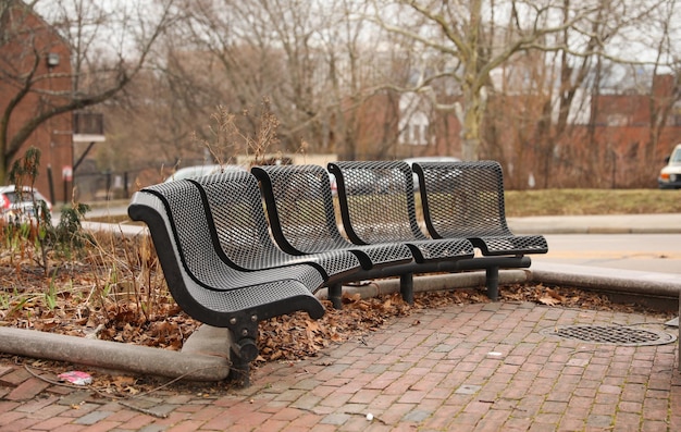 A row of black benches are on a brick walkway in a park.