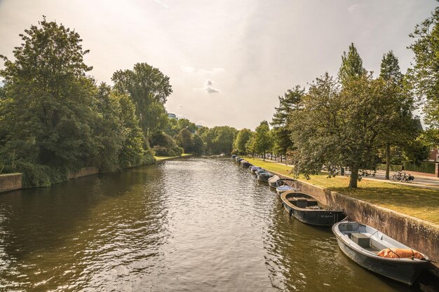 A row of boats are lined up on the river