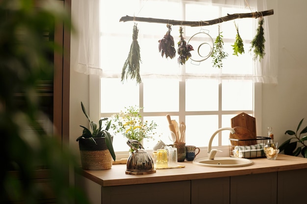 Row of bunches of dry herbs hanging on snag over kitchen counter