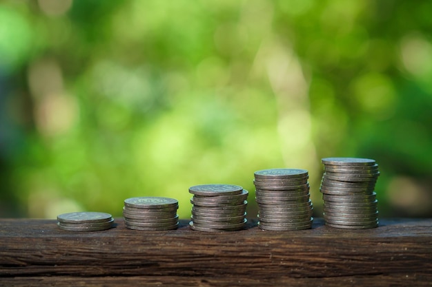 A row of coins on a wooden plank with a green background.