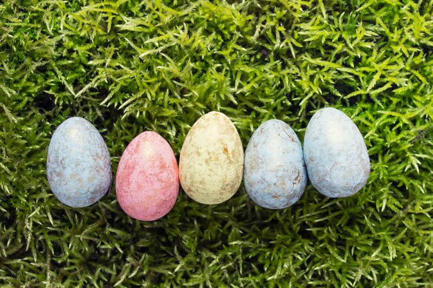 Row of colorful Easter eggs on green moss